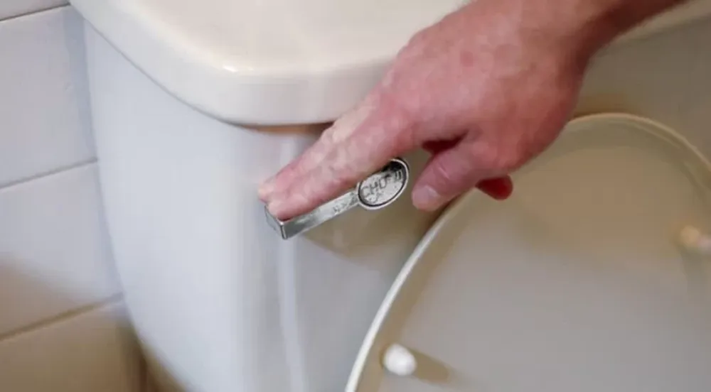 Un impactante video muestra lo que no hay que hacer al tirar de la cadena