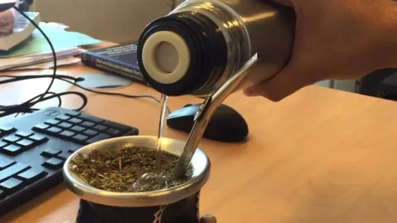 Mirá todos los tipos de mate y elegí el ideal para vos