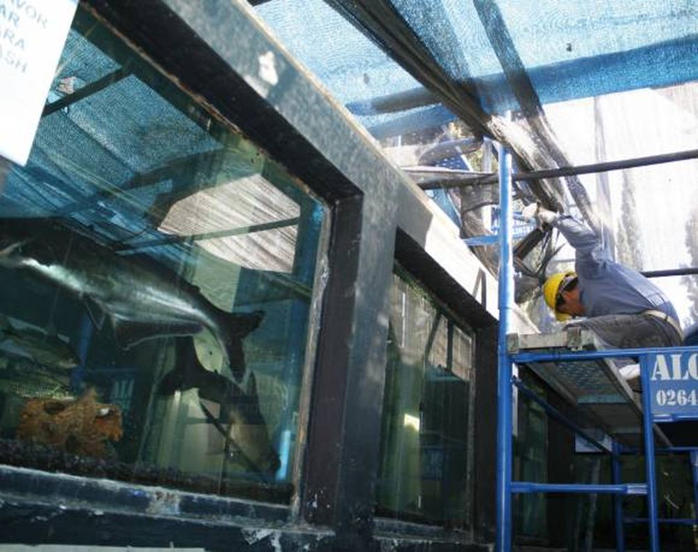 Remodelan el Faunístico cuidando a los animales