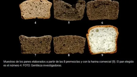 Logran premezcla con semillas de chía para hacer un pan sin gluten