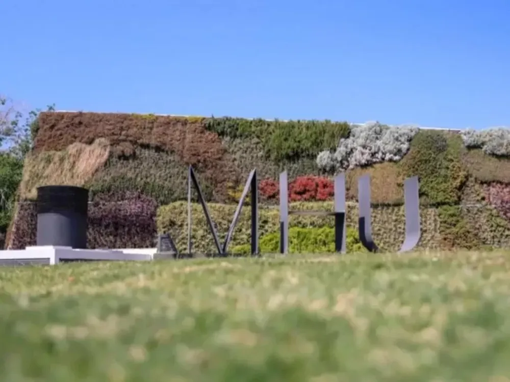 Encuentro de sonidos y palabras