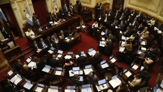 OTRA PALIZA. El Senado, de la misma forma que hizo Diputados con los vetos por fondos por el Garrahan y las universidades, dejó el veto del presidente Javier Milei por los ATN al borde del rechazo total.