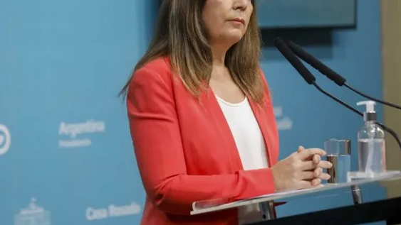 Cerruti sobre los dichos de Cristina: “No hay festival de importaciones”