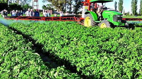 Continúa fuerte la inversión en tecnología del tomate industria