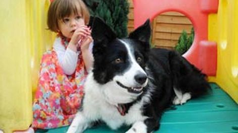 Le detectaron a tiempo un cáncer a su hija gracias al perro