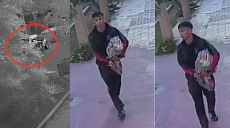 Bravo quedó registrado en video por las cámaras de seguridad de la zona de Capital donde se atrevió a robar.&nbsp;