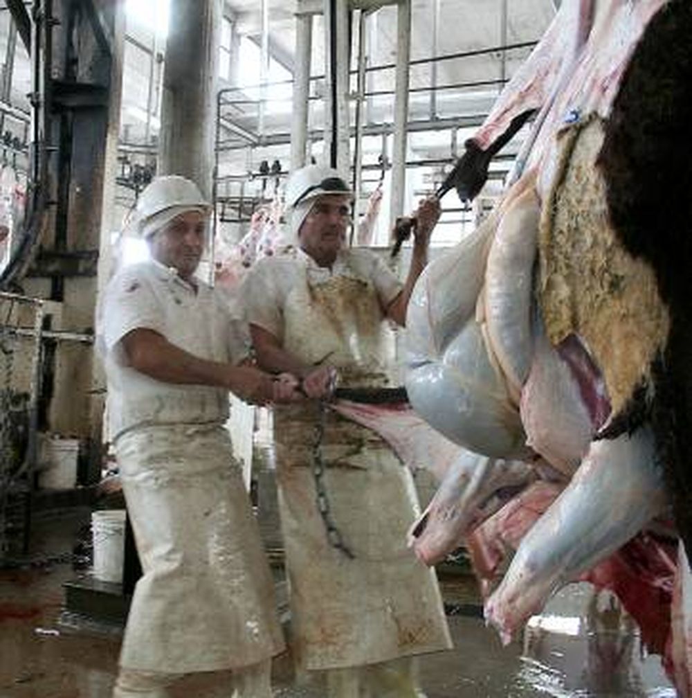 Matadero pierde $190 mil al mes