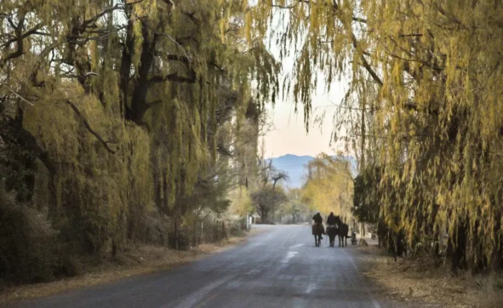 Por los caminos seguros de San Juan