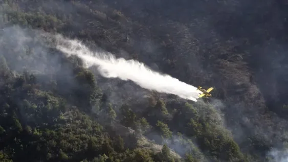 Alarman incendios forestales en Neuquén, Río Negro y Chubut