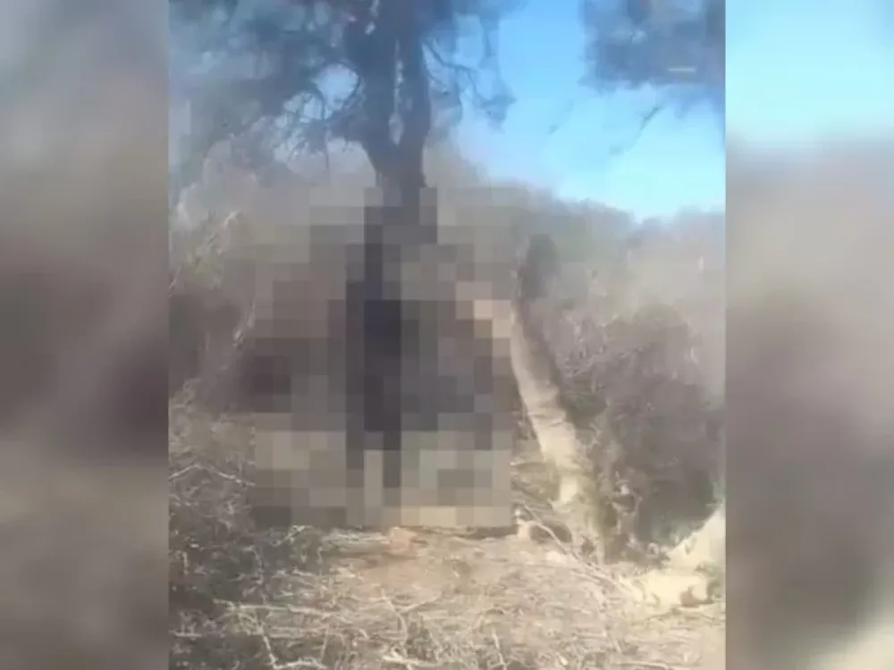 Proteccionistas hallaron a un perro ahorcado y denuncian que el salvajismo humano es “alarmante”