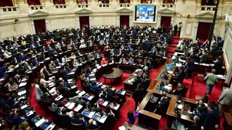Diputados aprobó la baja de la edad de imputabilidad a 14 años y el proyecto pasó al Senado