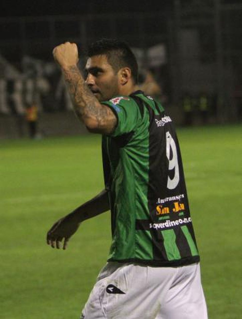 Un Bicho en el camino