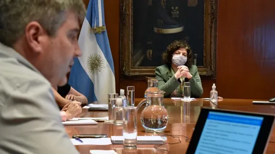 Coronavirus: Vizzotti encabeza una reunión con los ministros de Salud de todo el país
