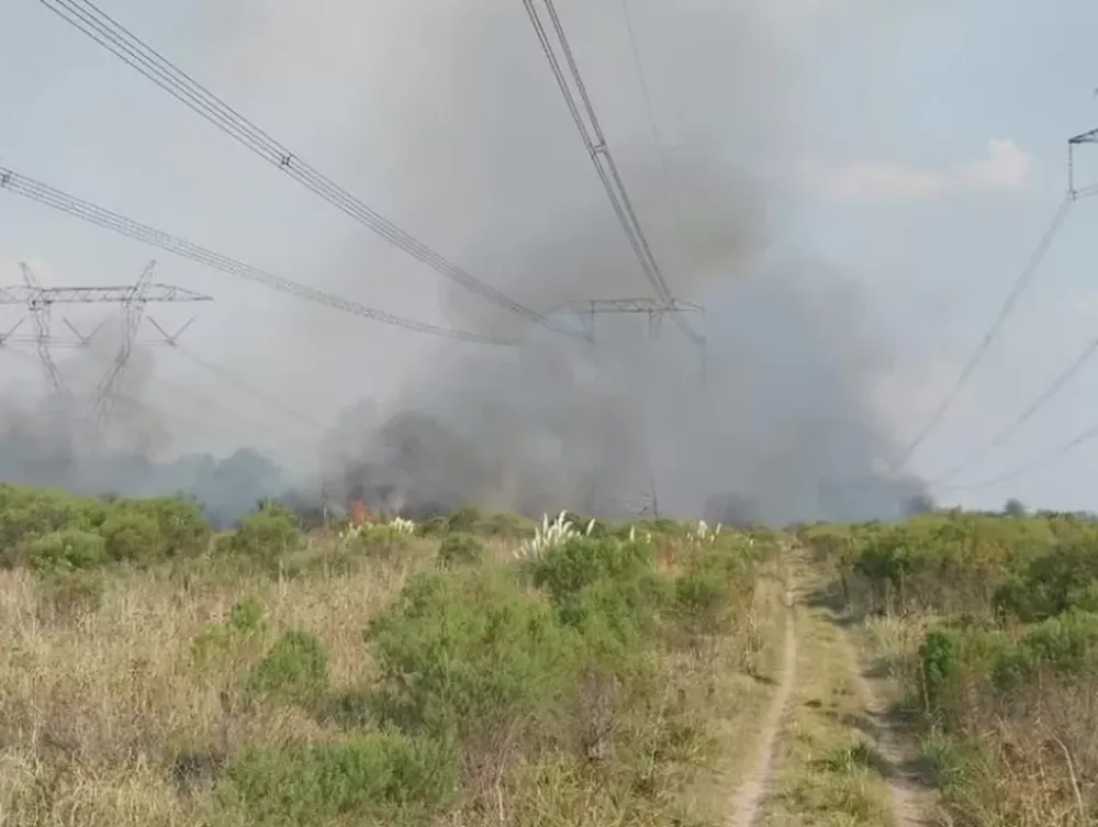 Unos menores iniciaron un incendio que arrasó con postes y dejó a la zona sin luz