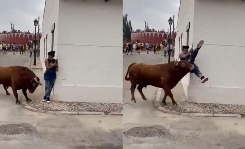 Grababa una corrida de toros, se distrajo con el celular y sufrió una brutal corneada