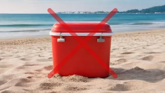 Cuál es la nueva alternativa que llegó para reemplazar a este clásico del verano.