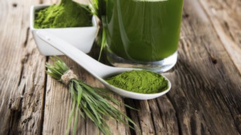 Espirulina. Imagen ilustrativa.-