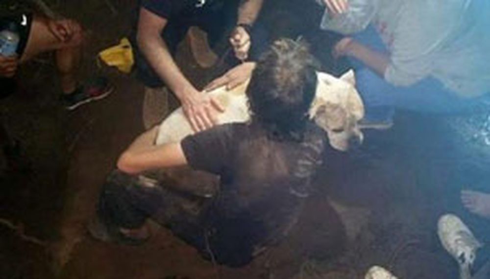 Emotivo rescate de un perro atrapado tres días bajo tierra