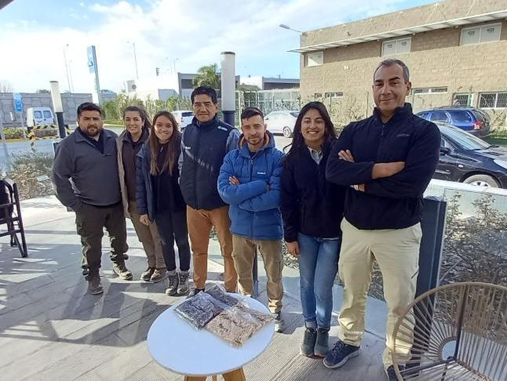 Arrancan los ensayos de melón en la Agrotécnica Sarmiento