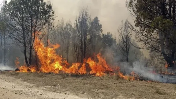 Salta comenzó a vacunar a mayores de 25 años sin factores de riesgo