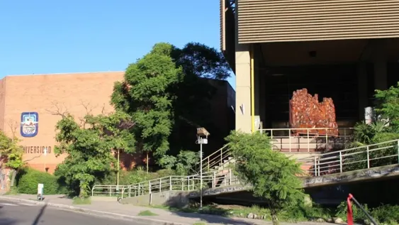 La UNSL utilizará lenguaje inclusivo en ámbitos administrativo, científico y académico