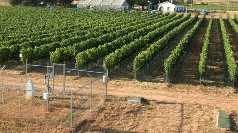 Sustentabilidad, inocuidad y  calidad como base de desarrollo