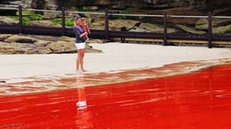 Playas se tiñen de rojo