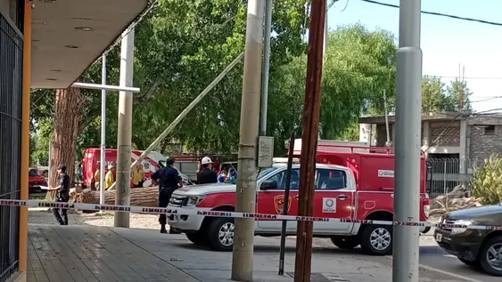 Difundieron la identidad del hombre que fue aplastado por un árbol en Rivadavia