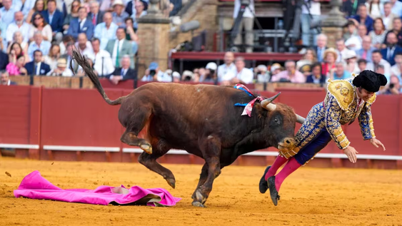 Morante de La Puebla fue operado de urgencia tras ser embestido por el animal en la plaza de la Maestranza.