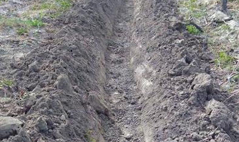 Posibles estrategias de manejo ante sequía, para lotes de vid