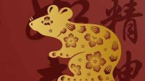 Nuestra personalidad desde la infancia según la astrología china