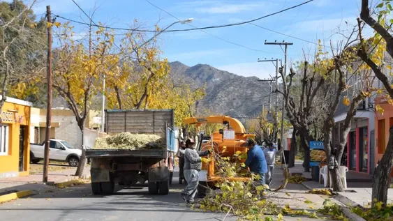 Comenzó la poda en el Valle