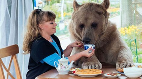 Un oso de mascota