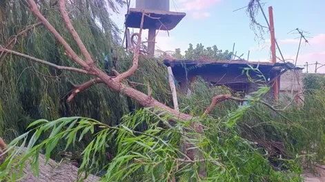 Las intensas ráfagas de viento provocaron la caída de un árbol sobre una vivienda