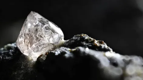 Un agricultor desenterró un diamante de 13 quilates y se volvió rico