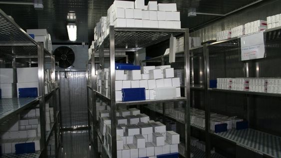 La provincia ya tiene 3 cámaras de frío en vista para almacenar vacunas contra el Covid-19
