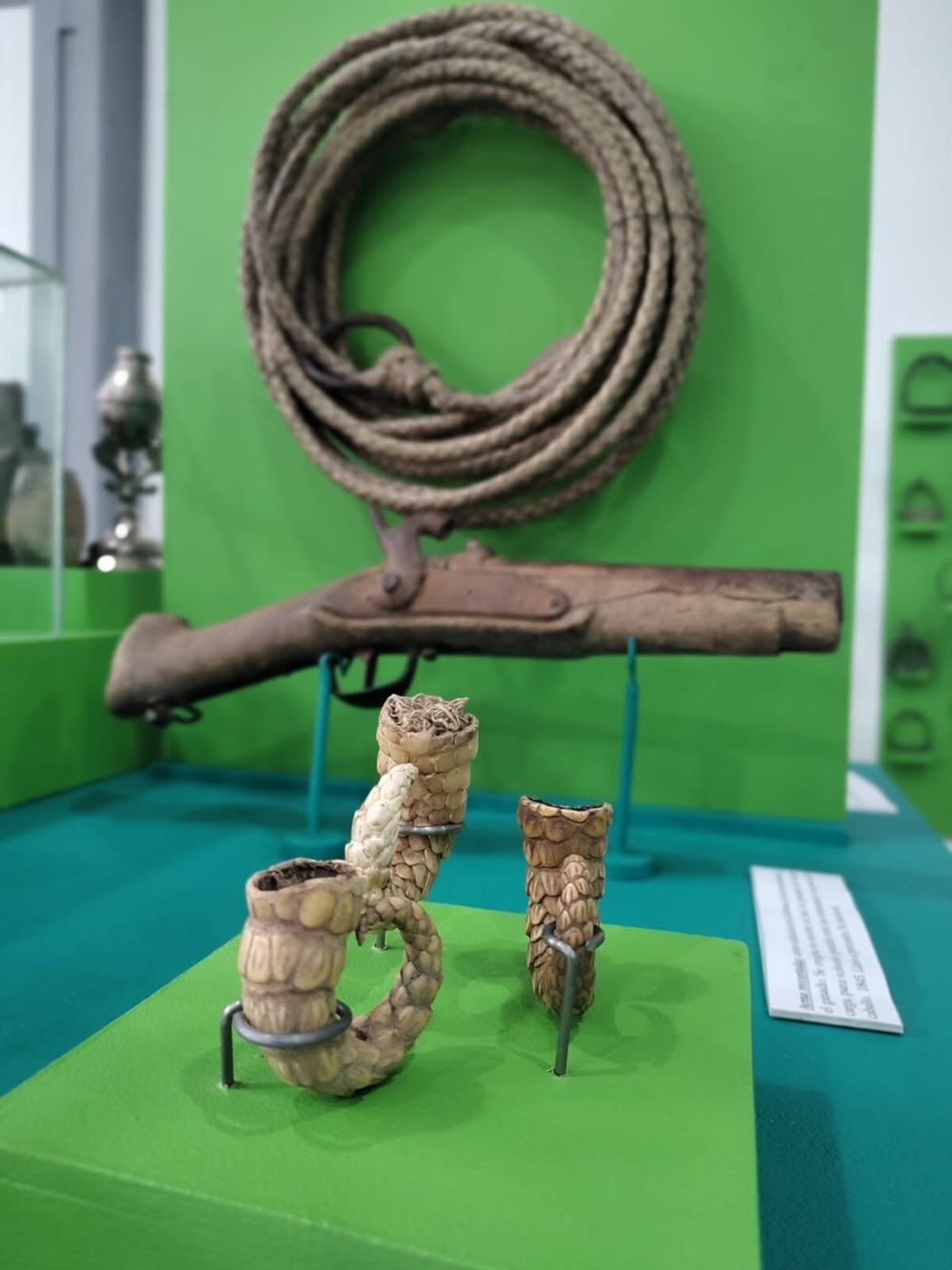 Museo Histórico Gnecco