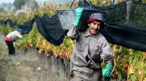 Los trabajadores rurales tendrán un 19,8% de aumento en remuneraciones mínimas