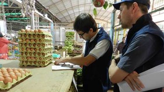 Ahora decomisaron más de 15.000 huevos en el Mercado Concentrador de Rawson