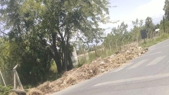 Reclaman por acumulación de basura en calles Benavídez y Balcarce