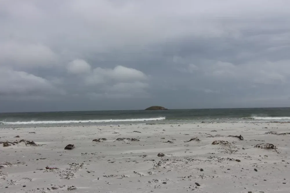 Un paraíso de arena blanca donde se camina entre los pingüinos