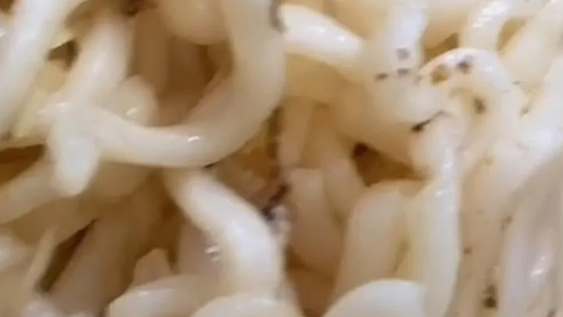 Asqueroso: encontraron gusanos en su sopa instantánea y compartieron las imágenes