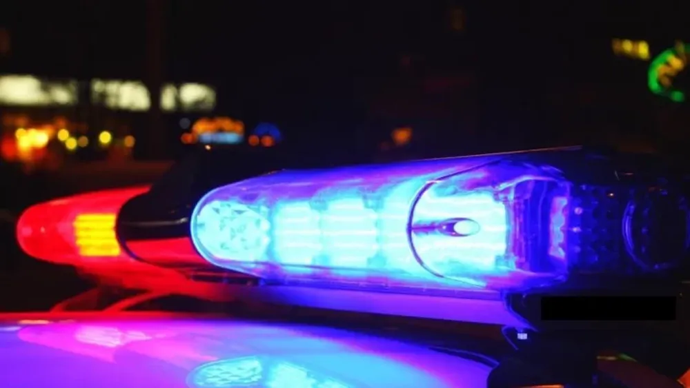 Detuvieron a 6 jóvenes que circulaban en un auto con botellas de alcohol