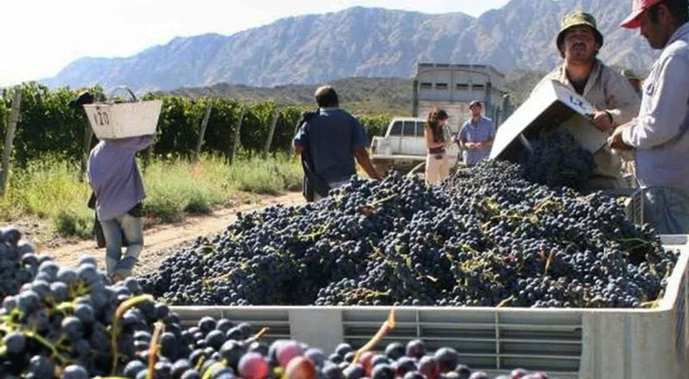 La cosecha y acarreo de cada año representa para los productores vitivinícolas un desafío que cuestaafrontar y para los que, en ocasiones, se debe acudir a prestamos bancarios como los que en estecaso está ofreciendo el Banco Nación.