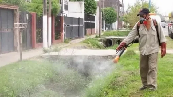 El dengue, imparable: ya llegaron a los 100 casos en Chaco