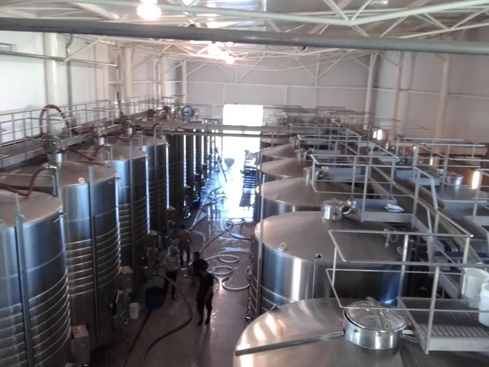 Finalizada la vendimia urge reinvertir en nuestros viñedos