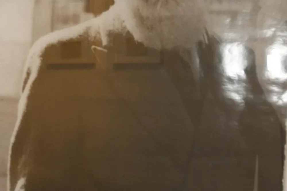 Universo de luces y sonidos