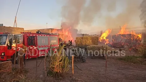 Gentileza Cadena New