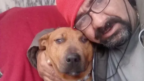 Diario de Cuyo | israel 728x546.webp