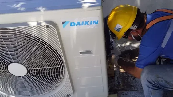 Amplían la planta para el control de la Mosca de los Frutos